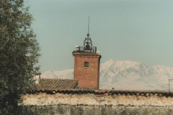 Antonio Ferres Bugeda